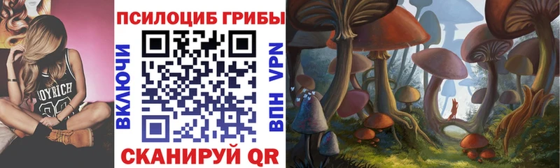 Галлюциногенные грибы мухоморы  дарнет шоп  Лебедянь 